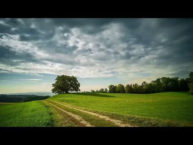 Video thumbnail for Tree Clouds & Greenry