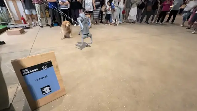 Video thumbnail for Dog encounters robot dog at exhibition in Zhejiang, China