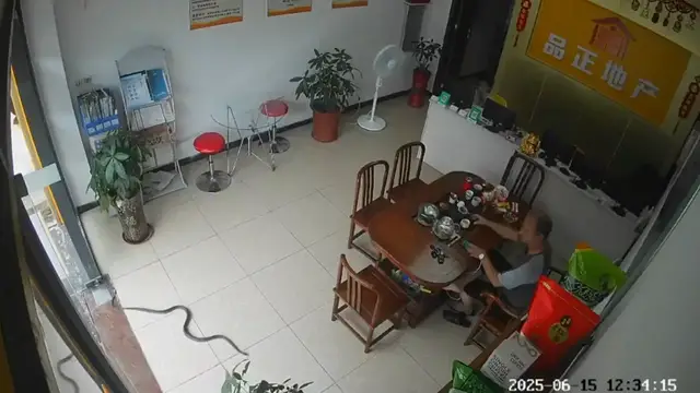 Video thumbnail for Snake surprises office worker in Guangzhou while he makes a drink