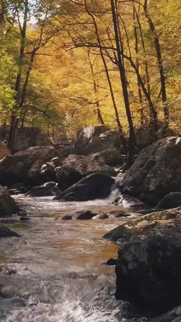 Video thumbnail for ? Empieza Tu Día con Dios: Oraciones de la Mañana para Fe y Esperanza ? #shorts Ánimo y valor