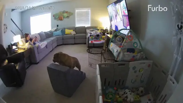 Video thumbnail for "House Hippo" Falls From Steps