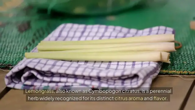 Video thumbnail for Lemongrass: A Health Booster