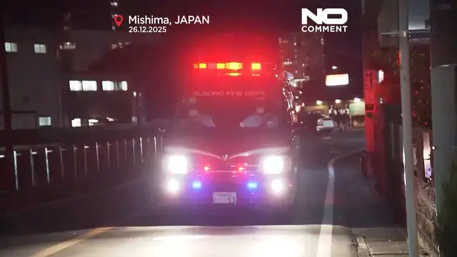 Video thumbnail for More than a dozen people injured in a knife and chemical attack at a factory in Japan