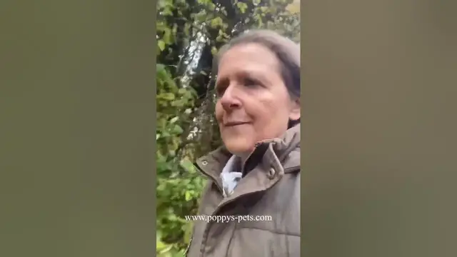 Video thumbnail for Ep 5: There IS Domestic Abuse Pet Fostering So YOU BOTH Can Leave   #domesticabuseawareness