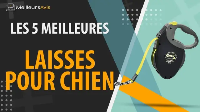 Video thumbnail for ⭐️ MEILLEUR LAISSE POUR CHIEN - Avis & Guide d'achat (Comparatif 2021)