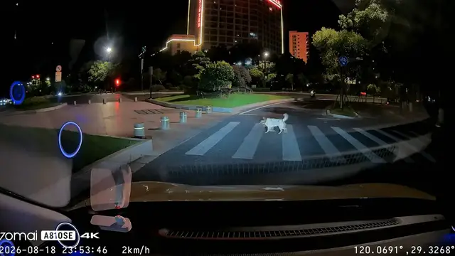 Video thumbnail for Dog Waits Patiently for Car to Pass Before Crossing in Zhejiang, China