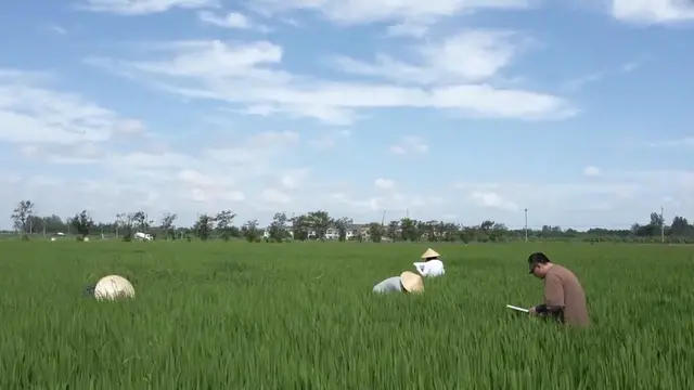 Video thumbnail for China: AR glasses take on pest control in China.
