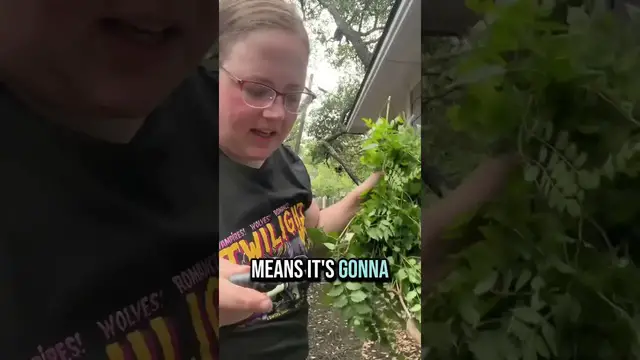'Video thumbnail for How long will it actually take: trumpet vines took over my a/c'