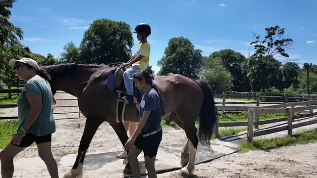 Video thumbnail for SIBSPlace campers connect with horses and find relief from family health struggles