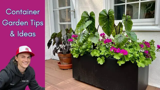 Video thumbnail for Container Garden Tips, Ideas & Suggestions - Low Maintenance Potted Plants Outdoors