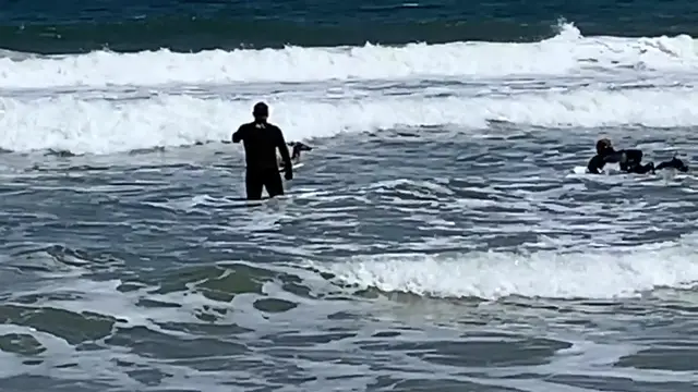 Video thumbnail for Deer Adrift In Atlantic Ocean Rescued By Surfers | Wild-ish TV