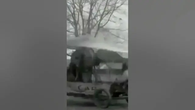 Video thumbnail for One of the first flight attempts made by engineers. #like #world #first #subscribe #old #science