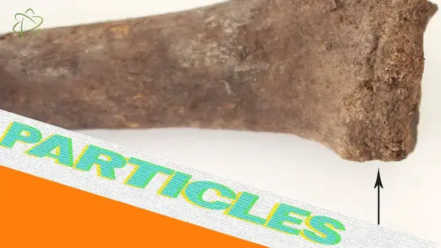 'Video thumbnail for Bones Of A Fancy-Pants Viking Remains'