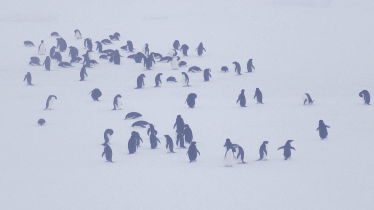 Video thumbnail for Antarctica: Early June temperature hits record-high in Antarctic Peninsula.