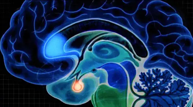 Video thumbnail for She studied extreme psychopaths. Here’s what it taught her about human nature