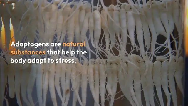 Video thumbnail for Natural Stress Relief Adaptogens