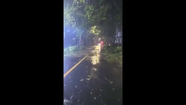 Video thumbnail for Typhoon Dolphin: Debris On Streets Of Yuhuan.