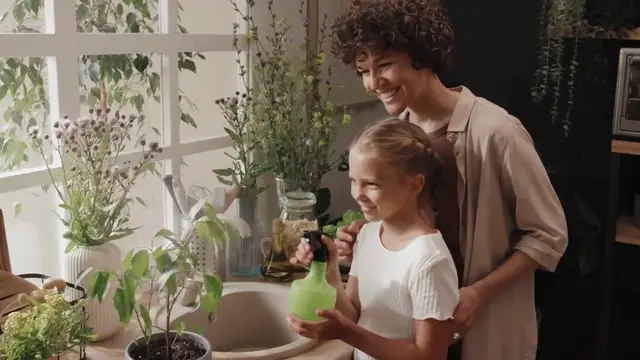 Video thumbnail for How_to_Grow_Money_Plant