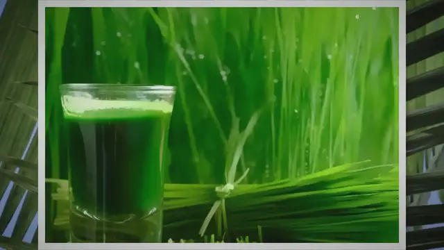 'Video thumbnail for Homemade Wheatgrass Juice Recipe'