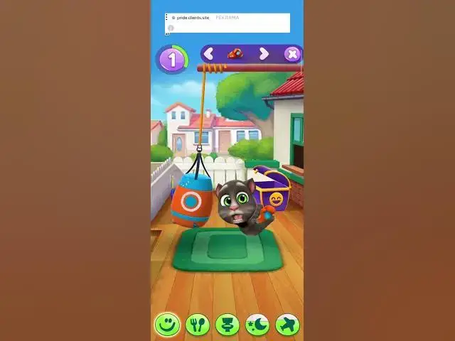 Video thumbnail for 22 октября 2025 г.