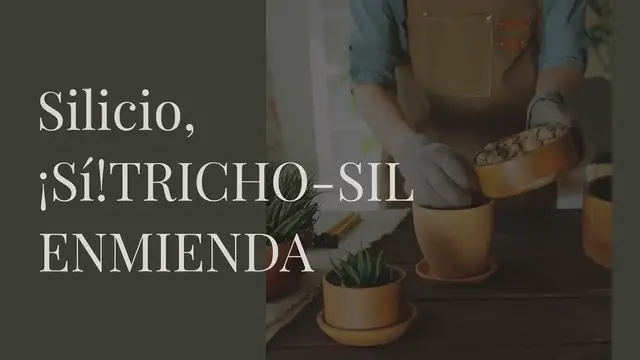 Video thumbnail for Silicio, ¡Sí! TRICHO-SIL ENMIENDA