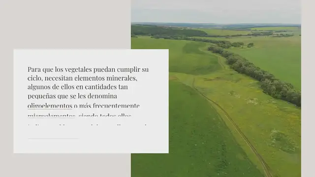 Video thumbnail for Ventajas de los microelementos quelatados