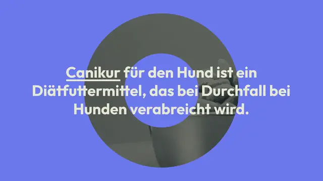 Video thumbnail for Canikur für Hunde: Nebenwirkungen, Anwendung & Dosierung