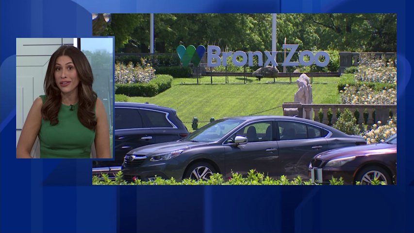 Video thumbnail for Bronx Zoo animal keeper 'nipped' by crocodilian reptile