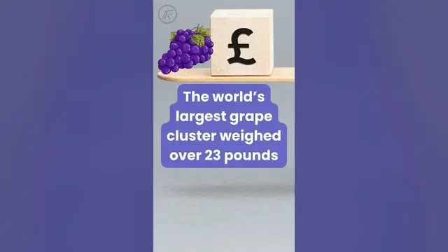 Video thumbnail for Fun Facts About Grapes That You Didn't Know #funfacts #fact #grape #fruit   #youtubeshorts