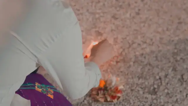 Video thumbnail for How To Grow Tulips In Pots