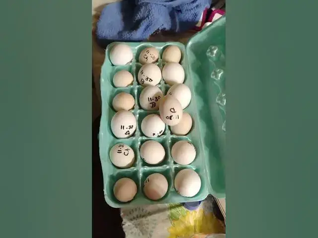 Video thumbnail for EGGciting Beat My Record #shorts