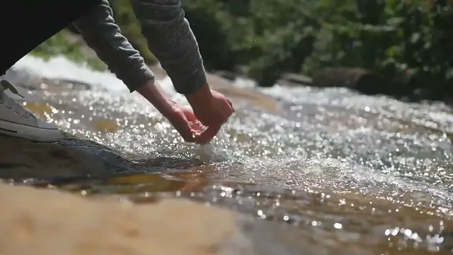 Video thumbnail for Go Wild