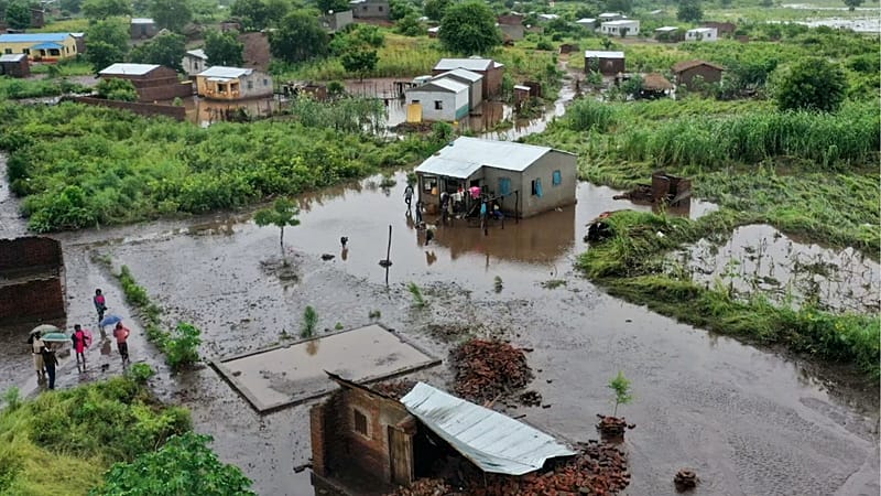 Video thumbnail for Mozambique: crocodiles appear in towns amid floods
