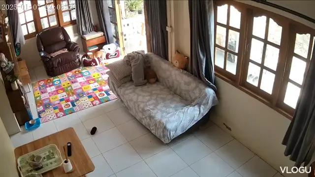 Video thumbnail for Funny Dogs Caught Having a Hilarious Interaction on Security Camera in Thailand
