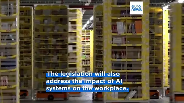 Video thumbnail for Social agenda is 'existential' for the EU, Commissioner Mînzatu tells Euronews