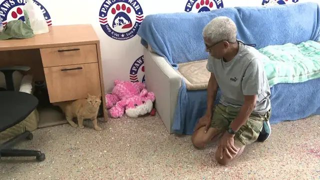 Video thumbnail for Long Island veterans turn to Paws of War for help while searching for pet friendly homes
