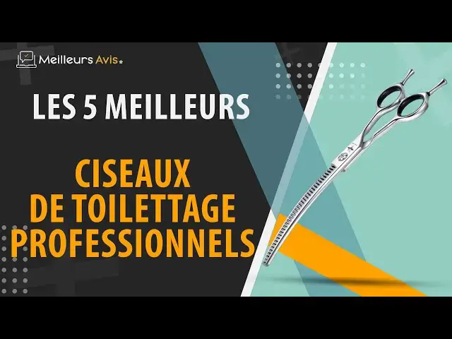 Video thumbnail for ⭐️ MEILLEURS CISEAUX DE TOILETTAGE PROFESSIONNEL - Comparatif 2024
