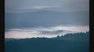 'Video thumbnail for Exploring Campbell, CA: 5 Must-Try Tourist Activities'