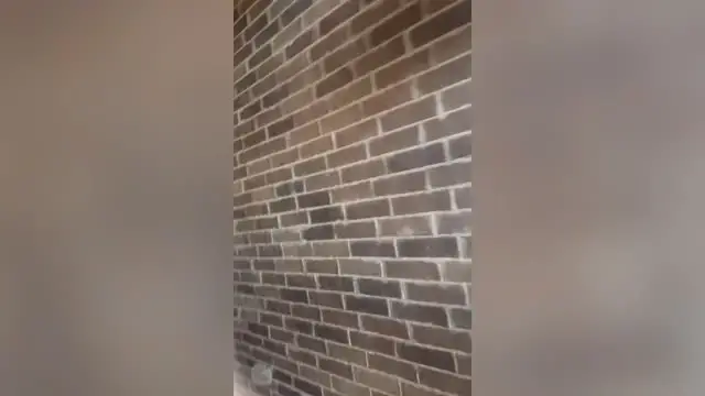 Video thumbnail for Teen Inherits Late Great Uncle's Cherished Truck As First Vehicle | Happily TV