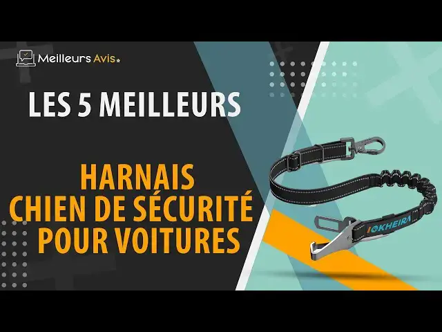 Video thumbnail for ⭐️ MEILLEUR HARNAIS CHIEN DE SÉCURITÉ POUR VOITURE - Comparatif 2024