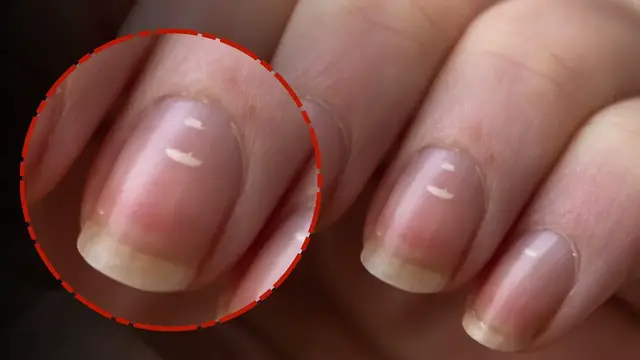 Video thumbnail for 12 Unbelievable Facts about the Human Body