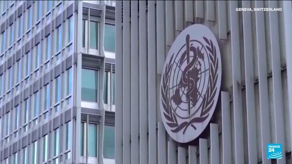 Video thumbnail for WHO declares emergency as Ebola outbreak kills more than 80 in DR Congo