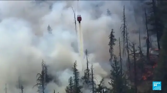 Video thumbnail for Donald Trump blames Canada for smoke pollution