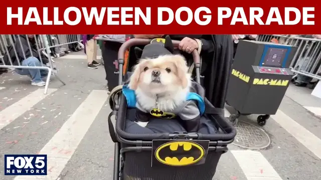 Video thumbnail for Halloween Dog Parade in Tompkins Square