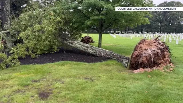 Video thumbnail for Wind storm topples dozens of trees in Riverhead, narrowly missing home