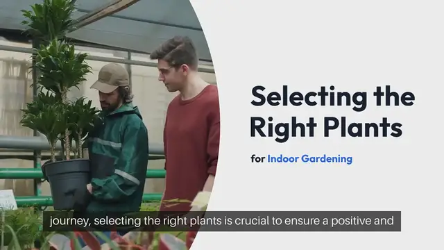 Video thumbnail for Best Home Plants For Beginners