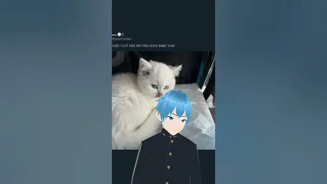 Video thumbnail for Yuki the Kitten Steals the Show! 🐱💕