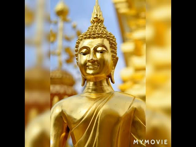Video thumbnail for Buddhist  monuments and flowers