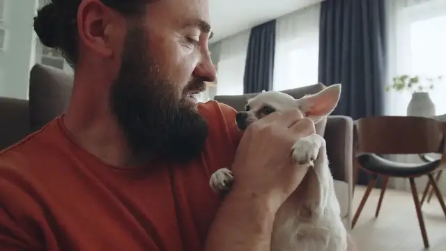 Video thumbnail for Stylish Pet-Friendly Home Decor