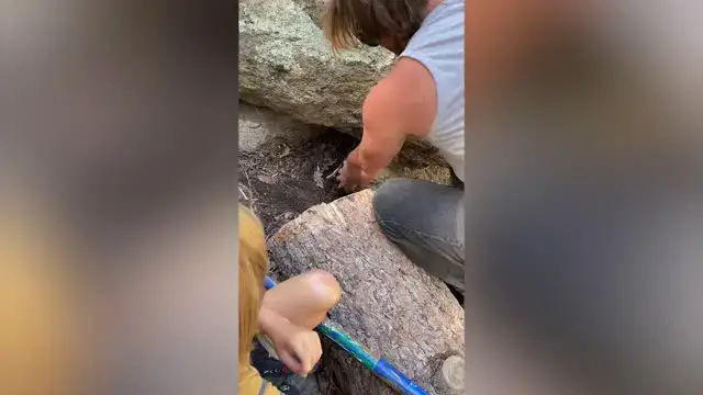Video thumbnail for Wild Chipmunks Alert Humans To Chipmunk Trapped Under Boulder | Wild-ish TV